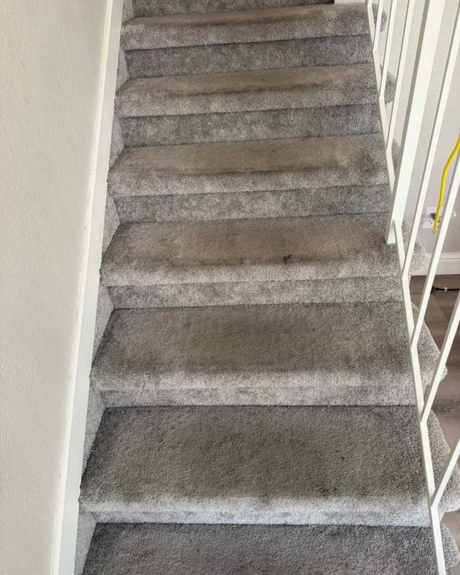 Carpeted stairs before cleaning