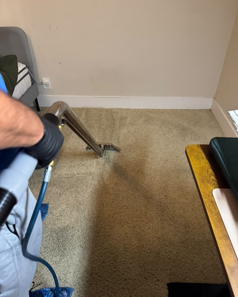 Hot water extraction lifting dirt from a bedroom carpet