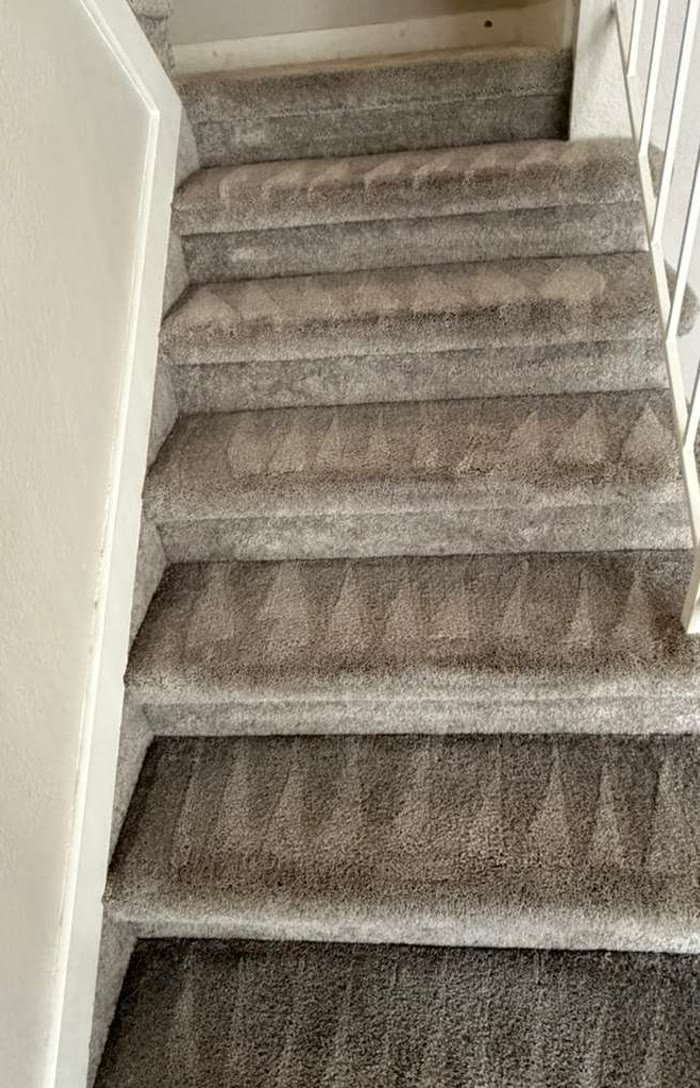 Carpeted stairs after deep cleaning