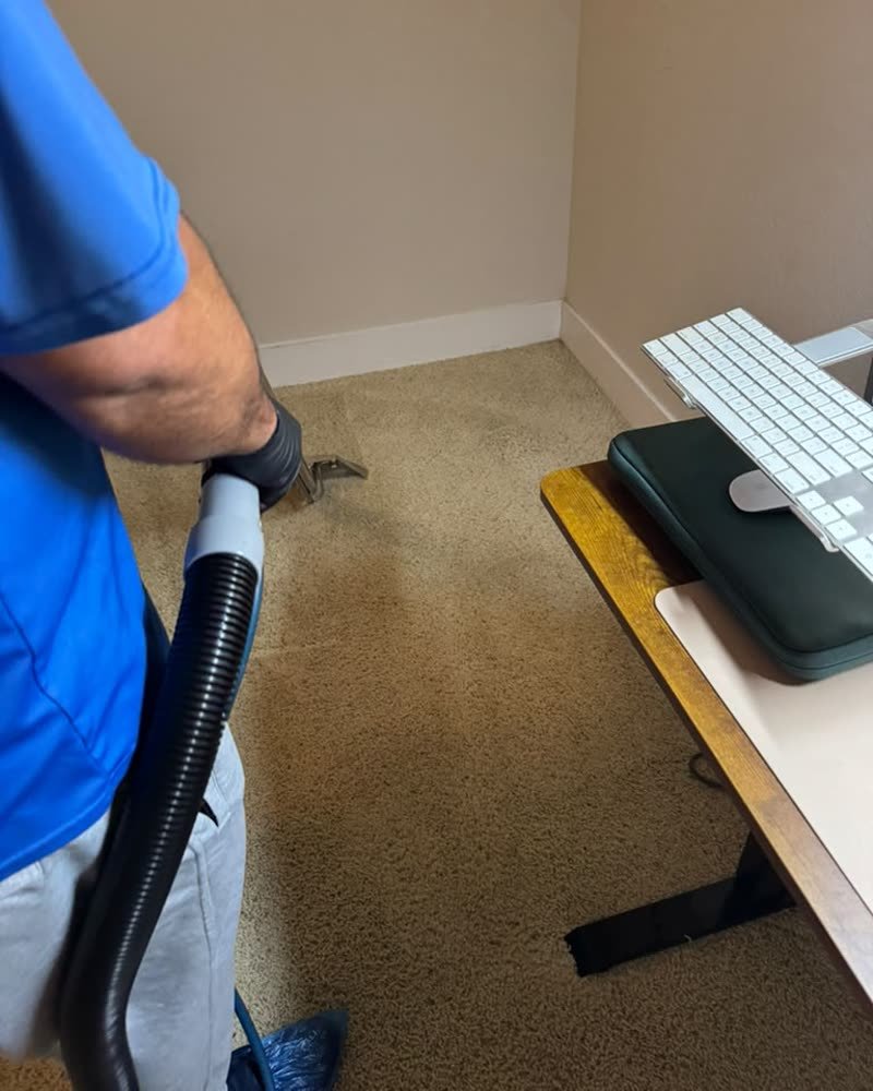 CleanRise technician deep cleaning a bedroom carpet
